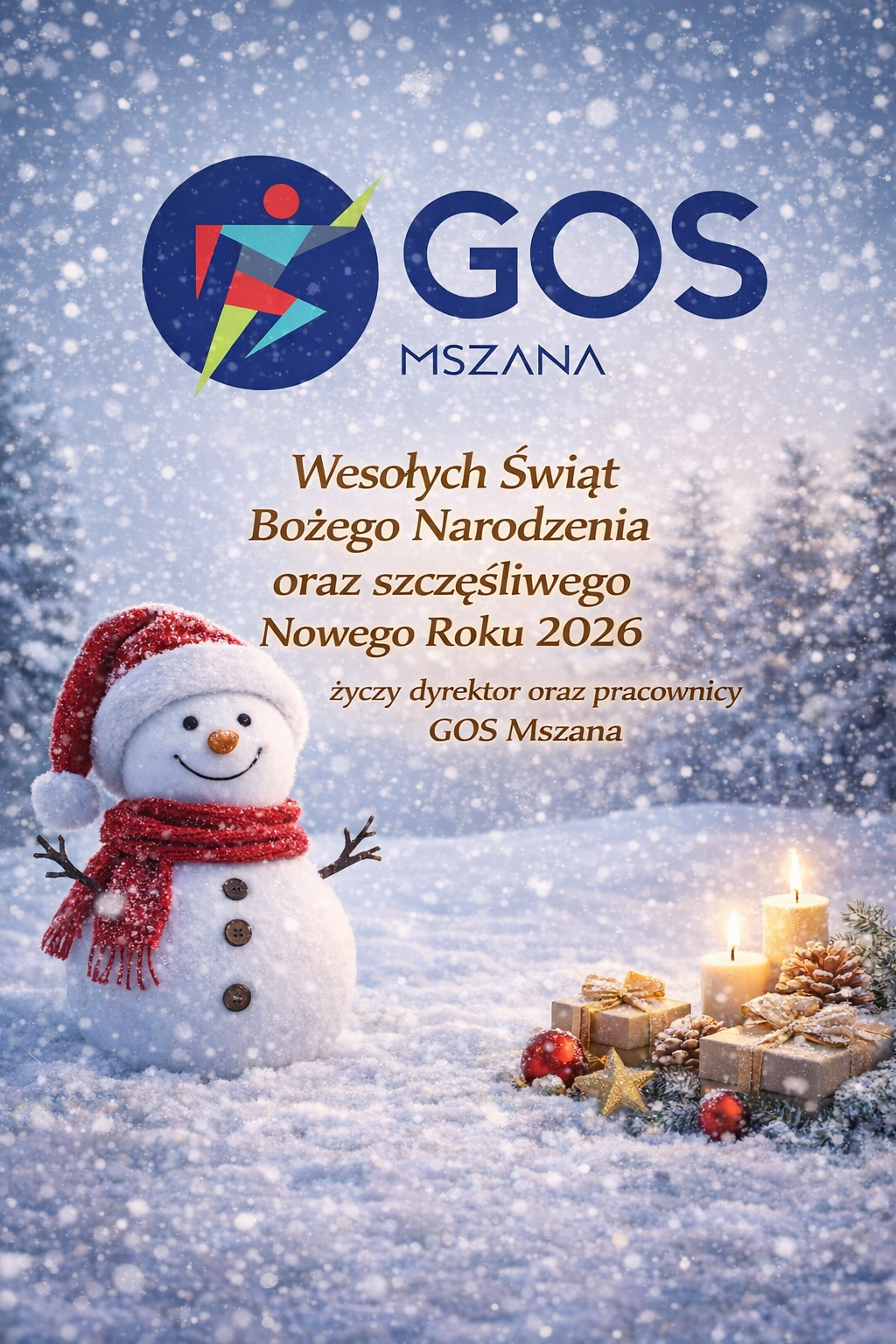 file_00000000bc3c7246a0cea3eda69e0d2a